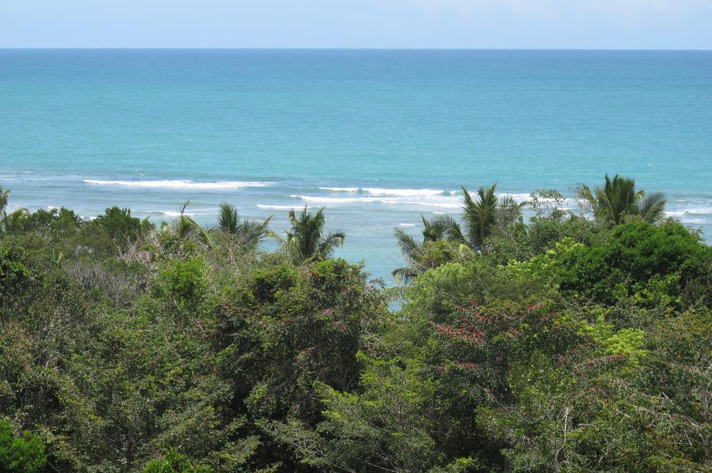 Casa Grande Sao Vicente Otel Porto Seguro Dış mekan fotoğraf